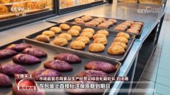 即能量和卵白质、脂肪、碳水化钠